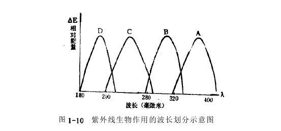 紫外線(xiàn)致黑斑效應(yīng)